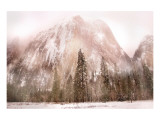 Buy Beyond The Forest at AllPosters.com