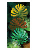 Tropical Monstera