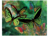 Green Butterfly Fantasy