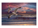 Buy Great Awakening at AllPosters.com
