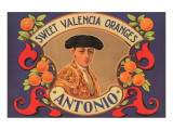 Antonio Sweet Valencia Oranges
