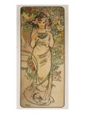The Flowers: La Rose