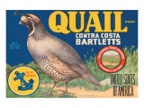Quail Brand Contra Costa Bartletts