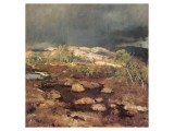 Buy Rain Shower in a Bog in Norway at AllPosters.com