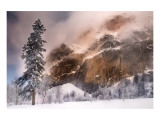 Buy Indomitable at AllPosters.com