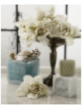 Serene Gardenia