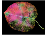 Capillarity I
