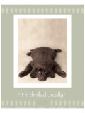 Buy I'm Thrilled at AllPosters.com