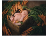 Carrot Top