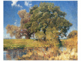 Buy Trees near Water at AllPosters.com