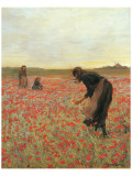 Buy Girls in Poppy Field at AllPosters.com