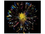 Buy Fireworks Papaver at AllPosters.com