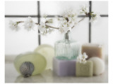 Buy Spring Blossoms at AllPosters.com