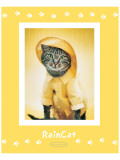 Rain Cat