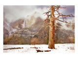 Buy Alone I Stand at AllPosters.com