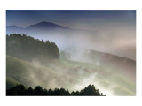 Buy Morning in The Hills at AllPosters.com