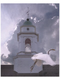 Steeple Flyby