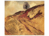Buy The Clay Path at AllPosters.com