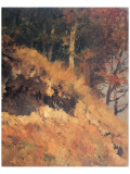 Buy Path in Muhltal at AllPosters.com
