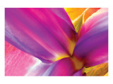 Buy Intimate Iris at AllPosters.com