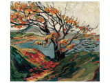 Tree in Autumn