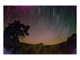 Buy Starry Night at AllPosters.com