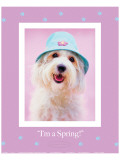 Buy I'm a Spring at AllPosters.com