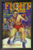 Fight Stories