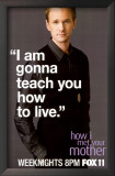 How I Met Your Mother Framed Art Print