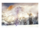 Buy Morning Glow at AllPosters.com