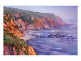 Buy Wilder Shore at AllPosters.com