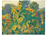 Buy Sunflowers, Thornhill at AllPosters.com