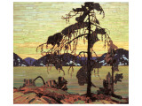The Jack Pine