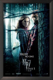 Buy Harry Potter and The Deathly Hallows Part 1 - Ron and Hermoine at AllPosters.com