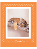 All Tiger-Ed Out