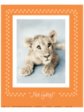 Buy Not Guilty at AllPosters.com