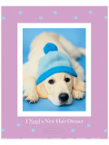 Buy I Need a New Hairdresser at AllPosters.com