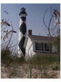 Cape Lookout II