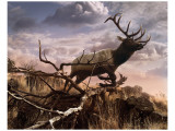 Buy Elk Passage at AllPosters.com