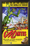 The Deadly Mantis