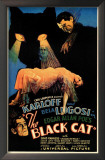 The Black Cat