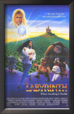 Labyrinth Framed Art Print