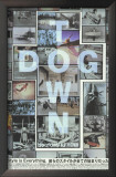 Dogtown and Z-Boys
