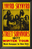 Lynyrd Skynyrd Framed Art Print