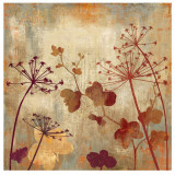 Wild Field I