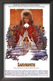 Labyrinth Framed Art Print