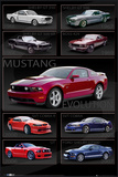 Ford Shelby - Mustang Evolution