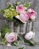 Roses Art Print