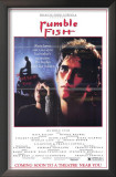 Buy Rumble Fish at AllPosters.com