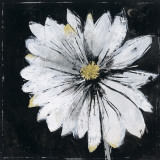 Buy Black And White Digressions II at AllPosters.com
